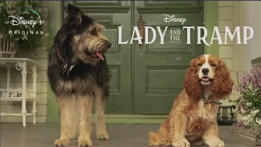 Lady and The Tramp